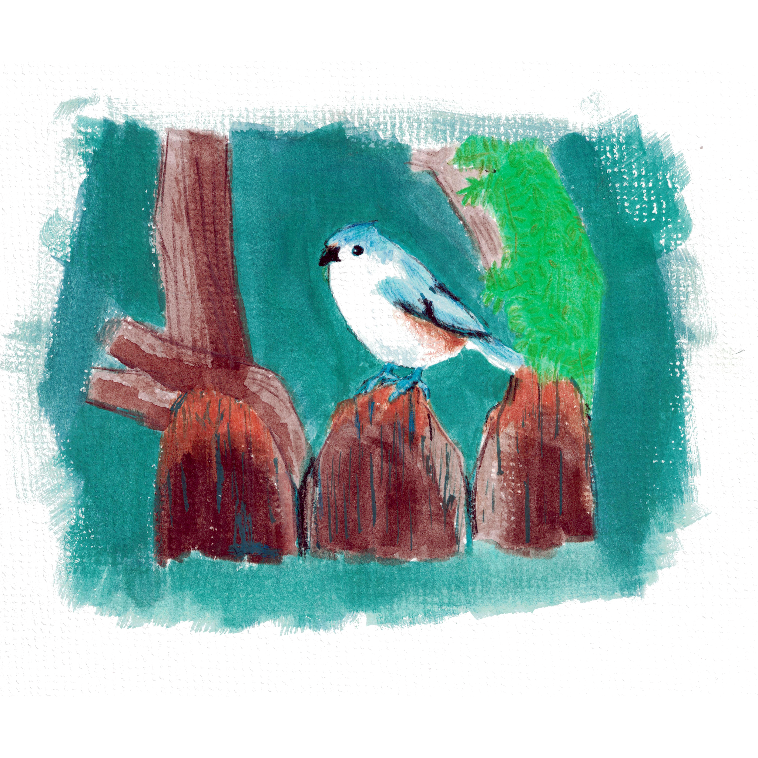 Drawing of a Tufted Titmouse on a fence