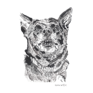 A black and white drawing of a dog showing its teeth/fangs
