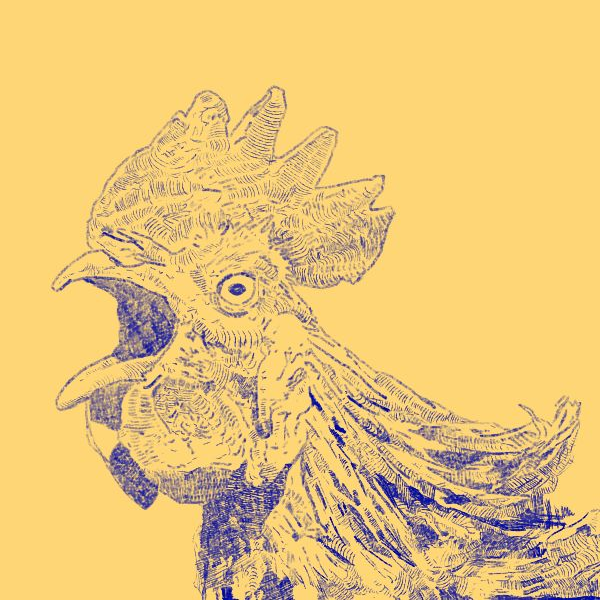 Digital drawing of a rooster