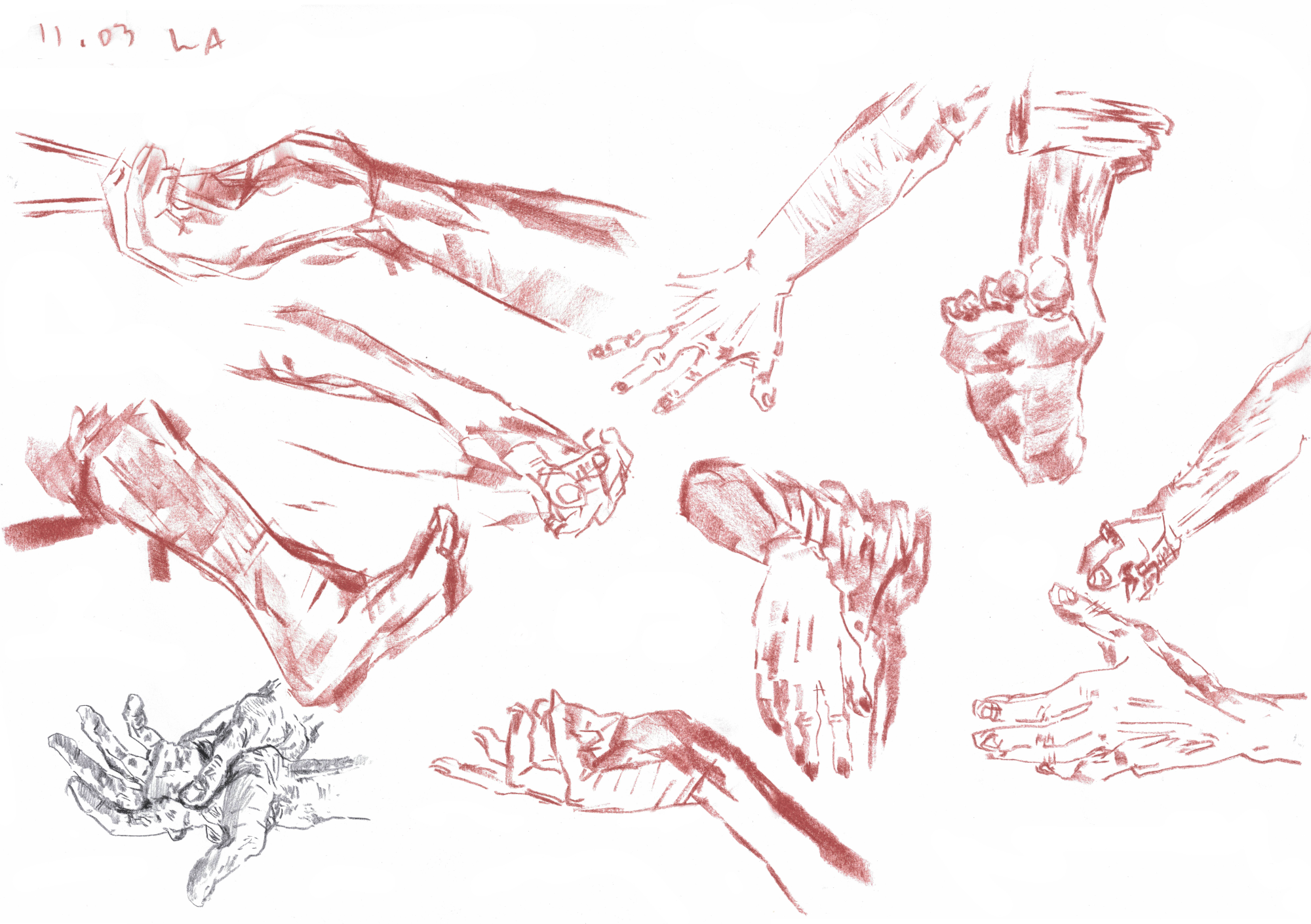 Line of Action sketches. Graphite sticks.